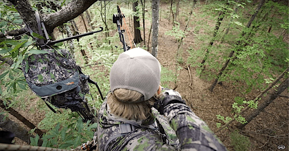 Featured Image for Bowhunting Whitetails in August: A South Carolina Deer Hunting Experience